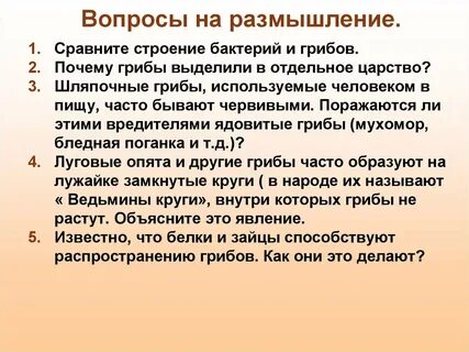 Почему грибы выделили