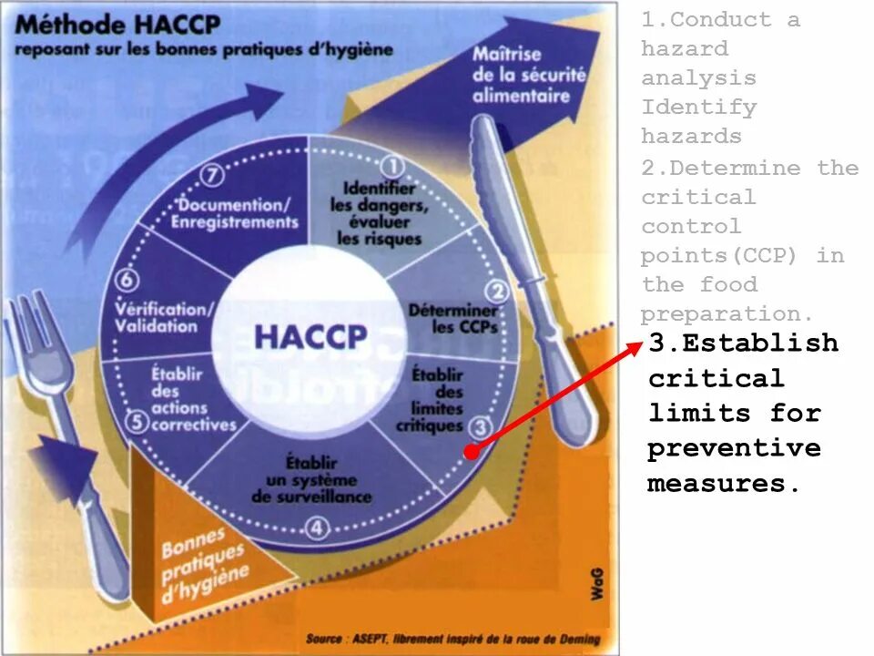 НАССР на пищевых предприятиях. HACCP стандарт. ХАССП В общественном питании. Разработка системы ХАССП.