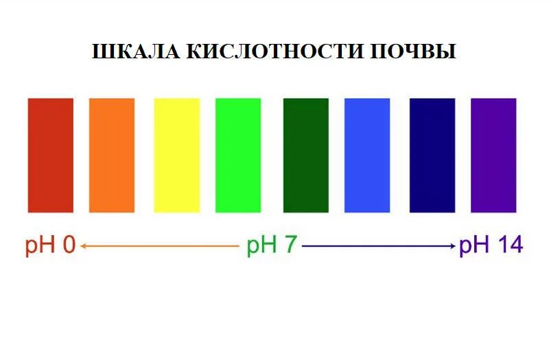 Жимолость какая кислотность почвы. Шкала кислотности PH почвы. РН кислотность шкала. Шкала кислотности почвы. PH шкала грунта.