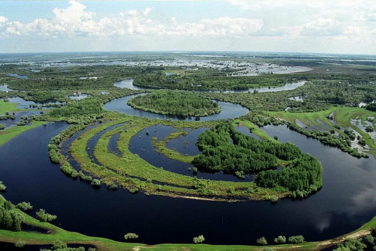 Западно сибирская равнина озера. Васюганские болота томская область. томск васюганское болото. васюганские болота, западная сибирь. западно сибирская равнина васюганское болото.