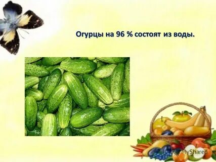 Сколько процентов содержится в огурце