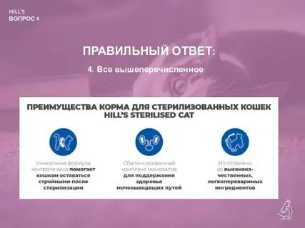 Выше перечисленных или вышеперечисленных как правильно