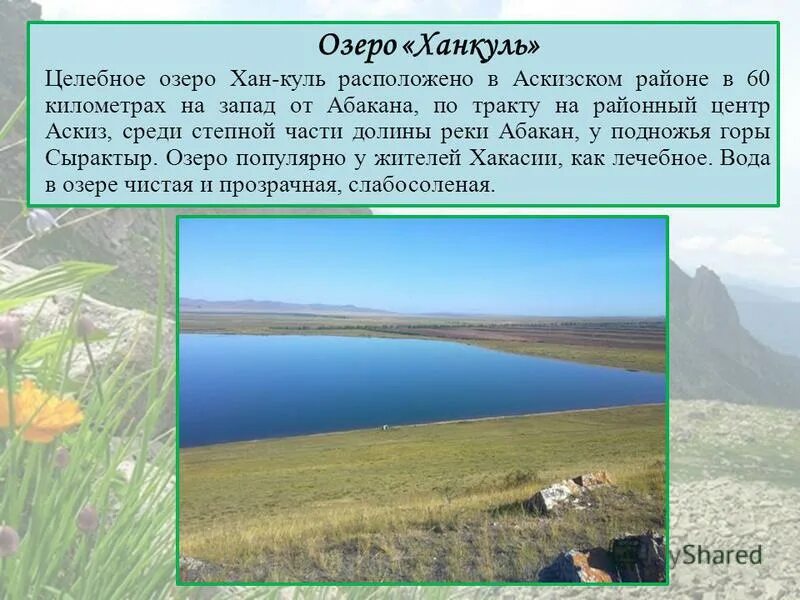 Озеро ханы. Озеро Ханкуль. Сообщение о озере Ханкуль. Озеро Ханкуль в Хакасии. Озеро Ханкуль гора.