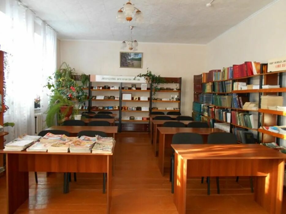 Красногорская библиотека. Красногорская библиотека. Красногорская библиотека. Центральная библиотека в красных баках. Мбук мфкц красногорского района алтайского края.