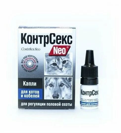 Дегельминтизация кошек. Пероральный путь введения животным. Таблетки для котов от гуляния гестренол. Как давать коту капли. Как давать коту капли.