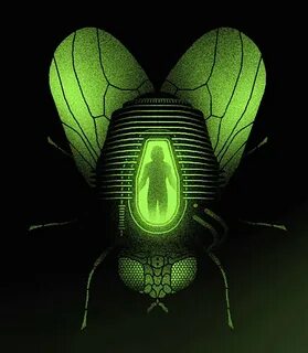 Are the fly flying