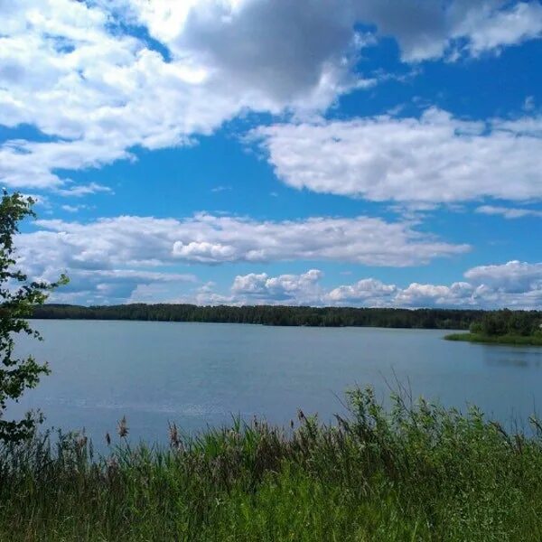 Жостово водохранилище. Жостово водохранилище пляж. Жостово карьер. Жестовский карьер. Жестовский карьер.