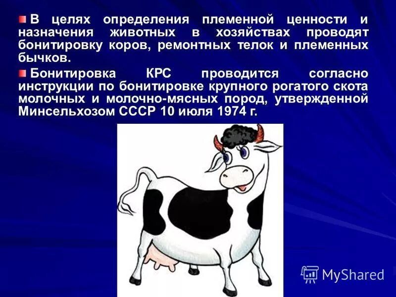 Можно ли считать крупный рогатый скот промежуточным. Бонитировка коров. Бонитировка крупного рогатого скота. Крупного рогатого скота молочного направления продуктивности. Бонитировка молочного КРС.