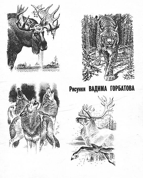 Горбатов графика. Горбатов графика