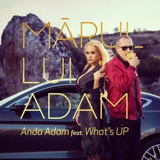 Feat adam