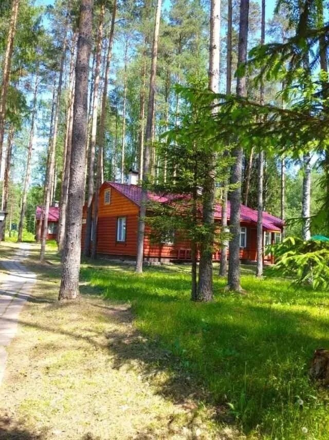 Лагеря в новгородской области. Лагерь Былина Новгородская область. Детский лагерь Былина Великий Новгород. Лагерь Былина Новгородская.