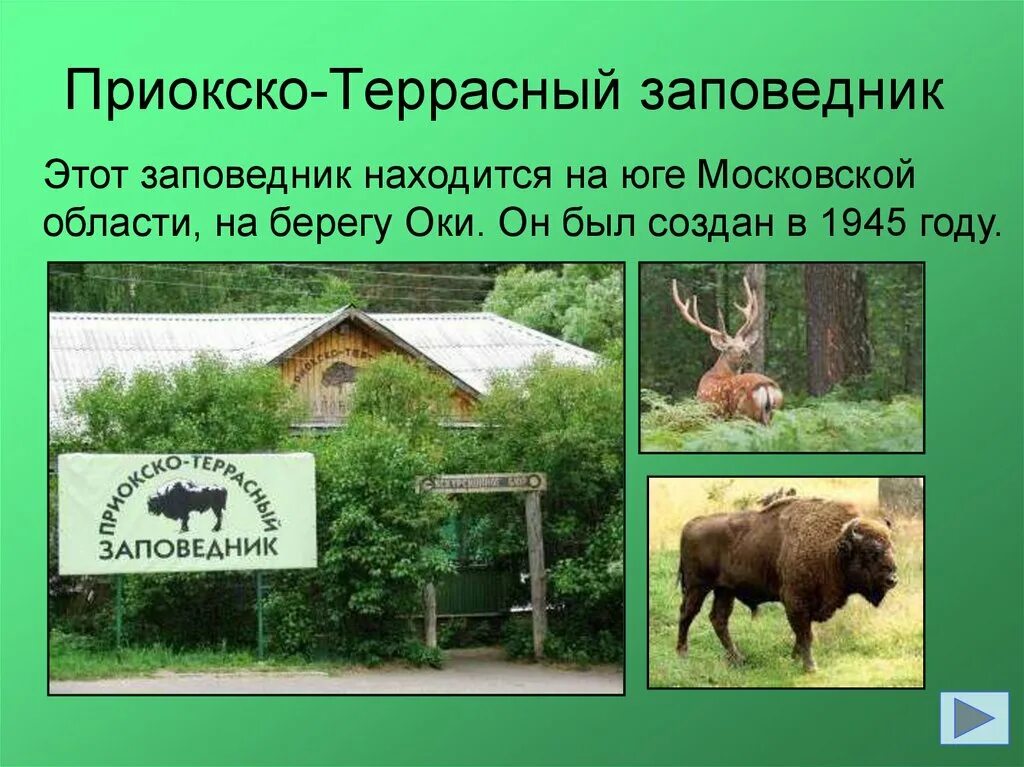 Приокско-Террасный заповедник природная зона. Приокско-Террасный заповедник окружающий мир. Приокско-Террасный заповедник сообщение 4 класс. Приокско-Террасный заповедник проект 4 класс.