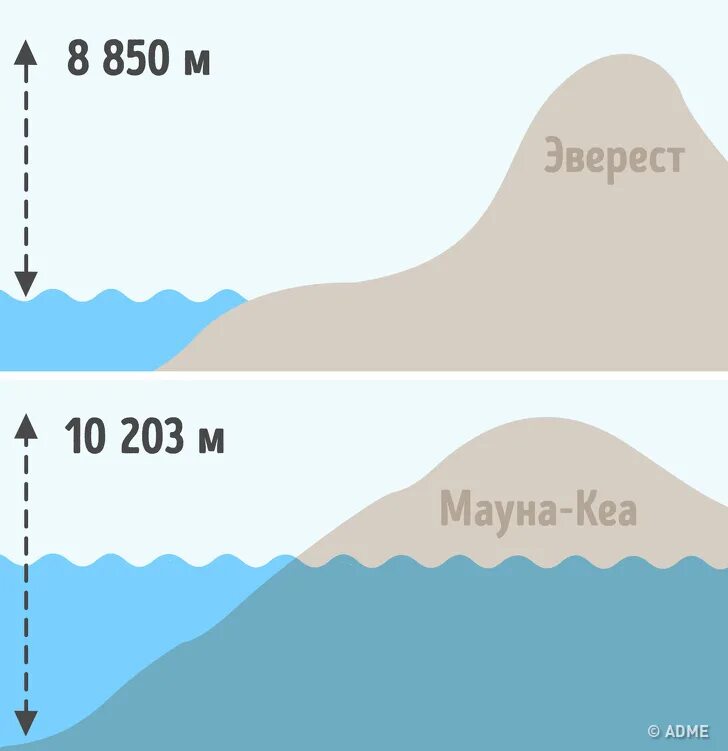 Сколько мир высота. Абсолютная высота вершины вулкана Мауна-Кеа. Мауна Кеа гора высота. Мауна Кеа гора и Эверест. Мауна Кеа и Эверест сравнение.