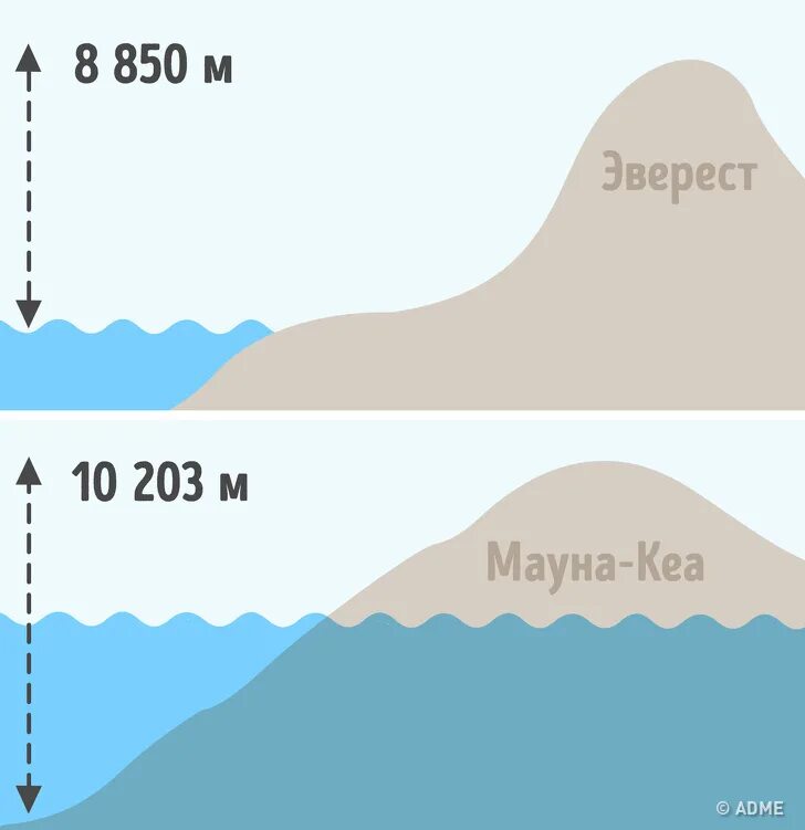 Наибольшая высота над уровнем моря вулкан. Абсолютная высота вершины вулкана мауна-кеа. гора мауна-кеа на гавайях высота. самая высокая гора в мире ману-акеа. высота эвереста и мауна кеа.