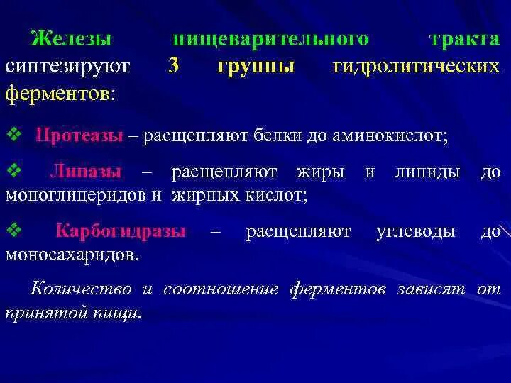 Пищеварительные ферменты расщепляющие углеводы. Протеаза расщепляет белки. Протеазы это ферменты расщепляющие белки. Протеазы структура. Протеазы пищеварительного тракта.