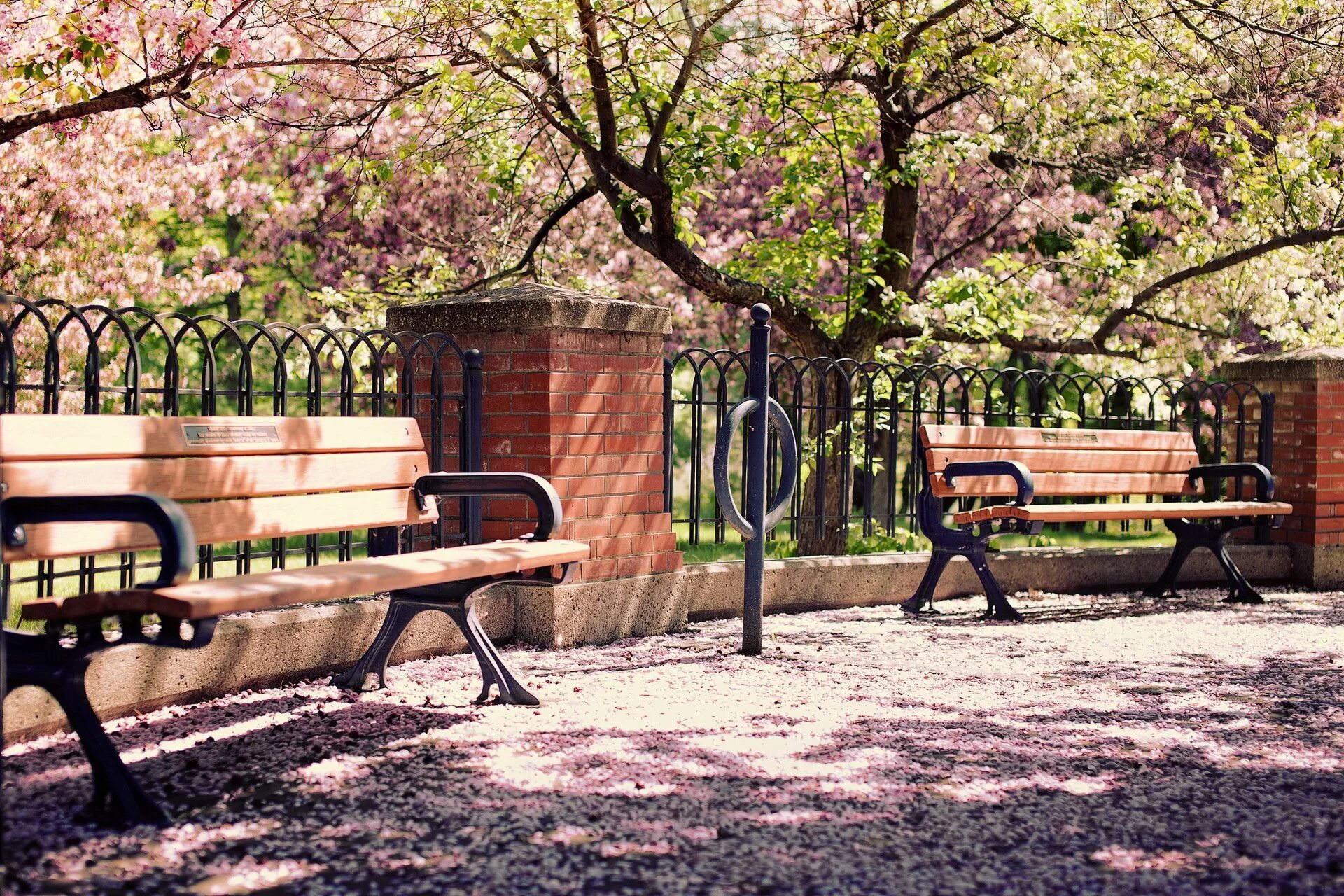 Лавочка Япония парк. Скамейка на улице. Пейзаж со скамейкой.
