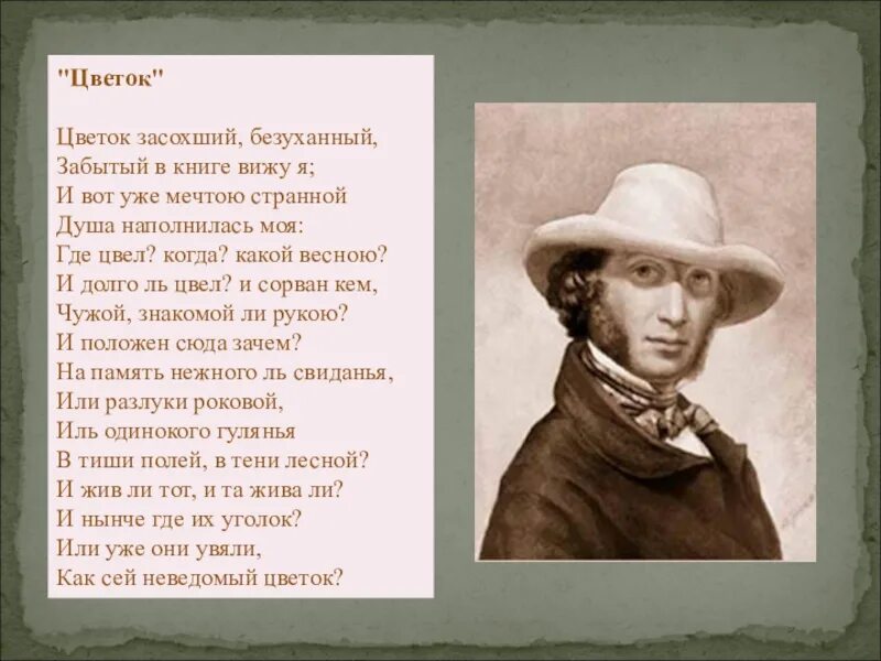 Цветов стихотворение а с пушкин. Цветок засохший безуханный забытый в книге вижу я. Цветок забытый безуханный. Стихотворение Пушкина цветок засохший безуханный. Цветок забытый безуханный забытый в книге вижу я.