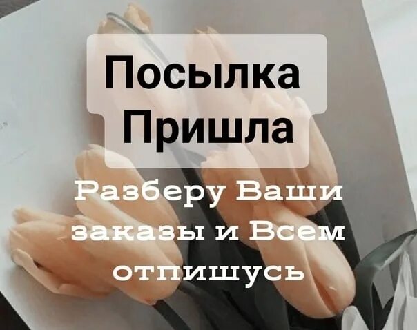 Получивший разбор