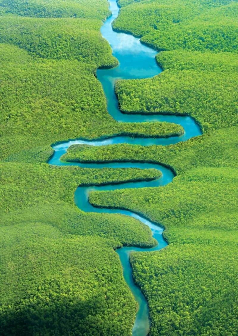 Самая лучшая река в мире. Река Амазонка реки. Южная Америка река Амазонка. Амазонка самая длинная река в мире. Самая большая река в мире Амазонка.