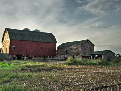 But farm