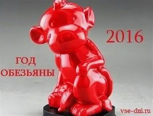 1980 год какой обезьяны