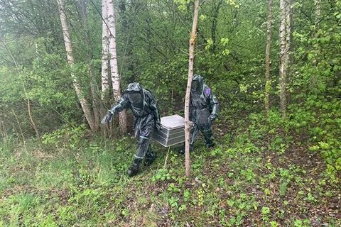 Погода переторги