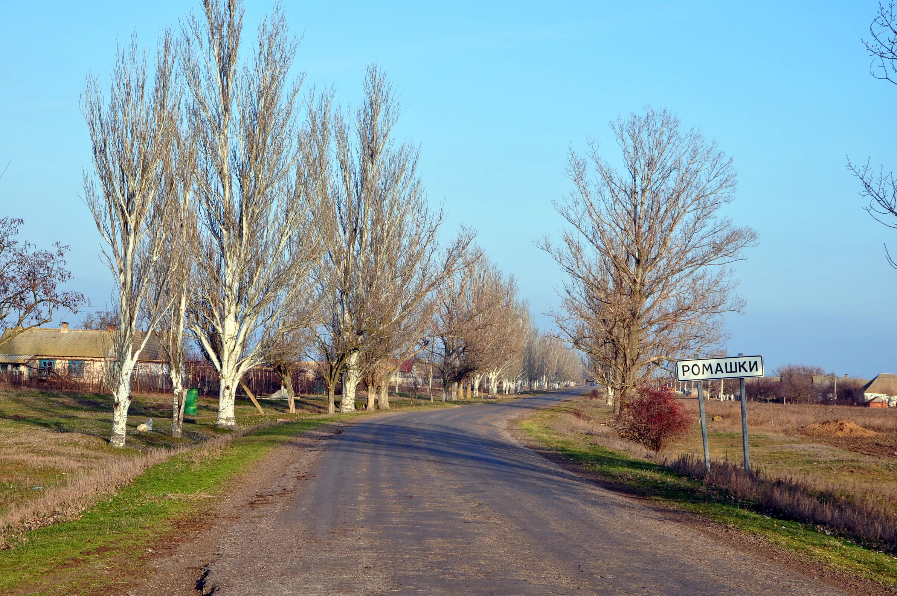 Село фруктовое. Украина Запорожская область Мелитопольский район. Село Константиновка Мелитопольский район. Степное Мелитопольский район. Константиновка Запорожская область Мелитопольский район.