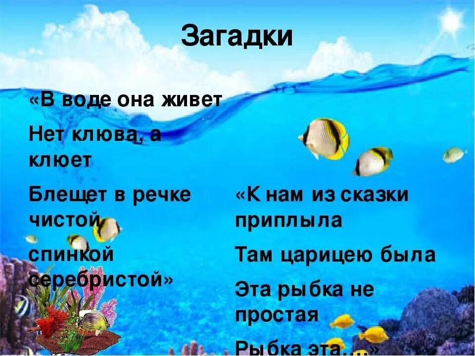 Загадка про воду. Загадка про воду для детей. Загадка про море. Загадки про море для детей.