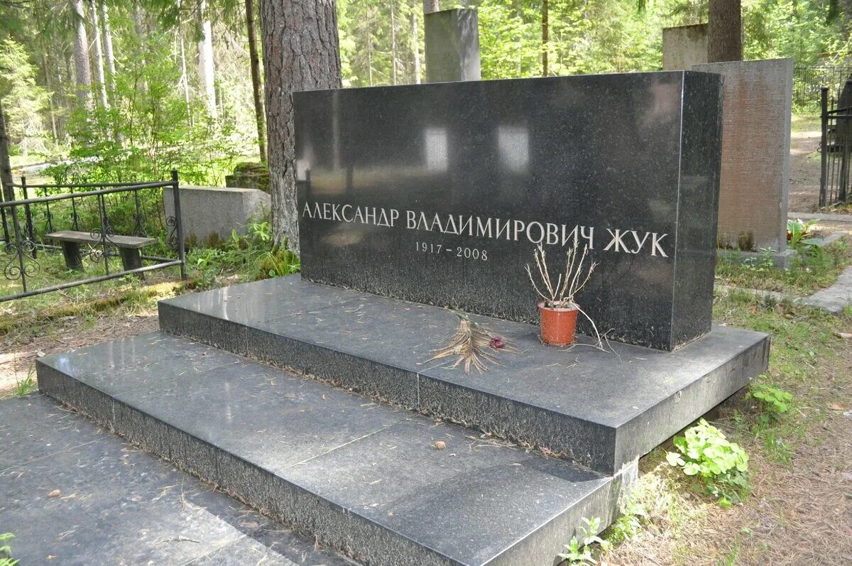 Диму комарова убило племя. Некрополь Комарово. Памятник Димы Комарова.