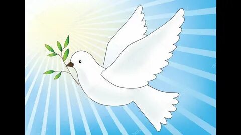 Ең порно қыздар