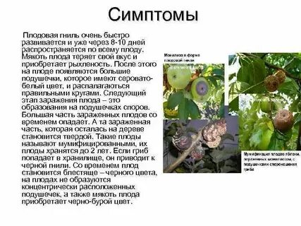 Вред плодов