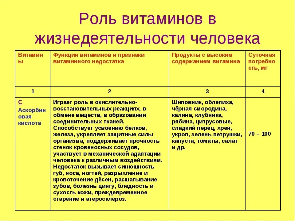 Роль витаминов в жизнедеятельности