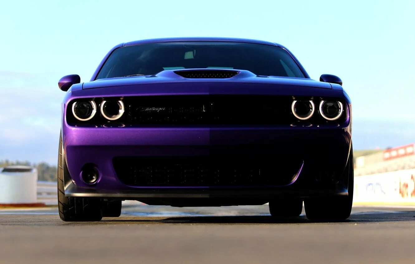 Обои додж челленджер. Dodge Challenger 2019. Додж Челленджер 4к. Dodge Challenger RT 2019. Dodge Challenger srt8 фиолетовый.