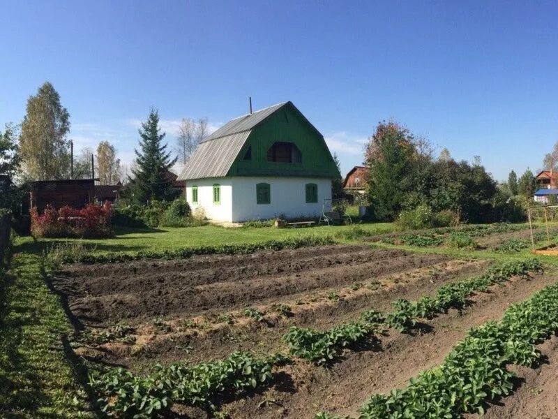 Снт новокузнецк купить. Славино Новокузнецк. Село Славино Новокузнецкий район. СНТ Славино Новокузнецк. Дачи в чистой гриве.