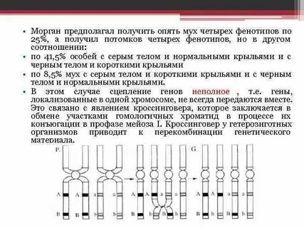 Полное и неполное сцепление генов