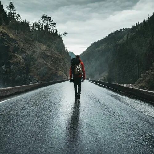 Download wallpaper 1920x1080 road, asphalt, fog, trees full hd, hdtv, fhd, 1080p