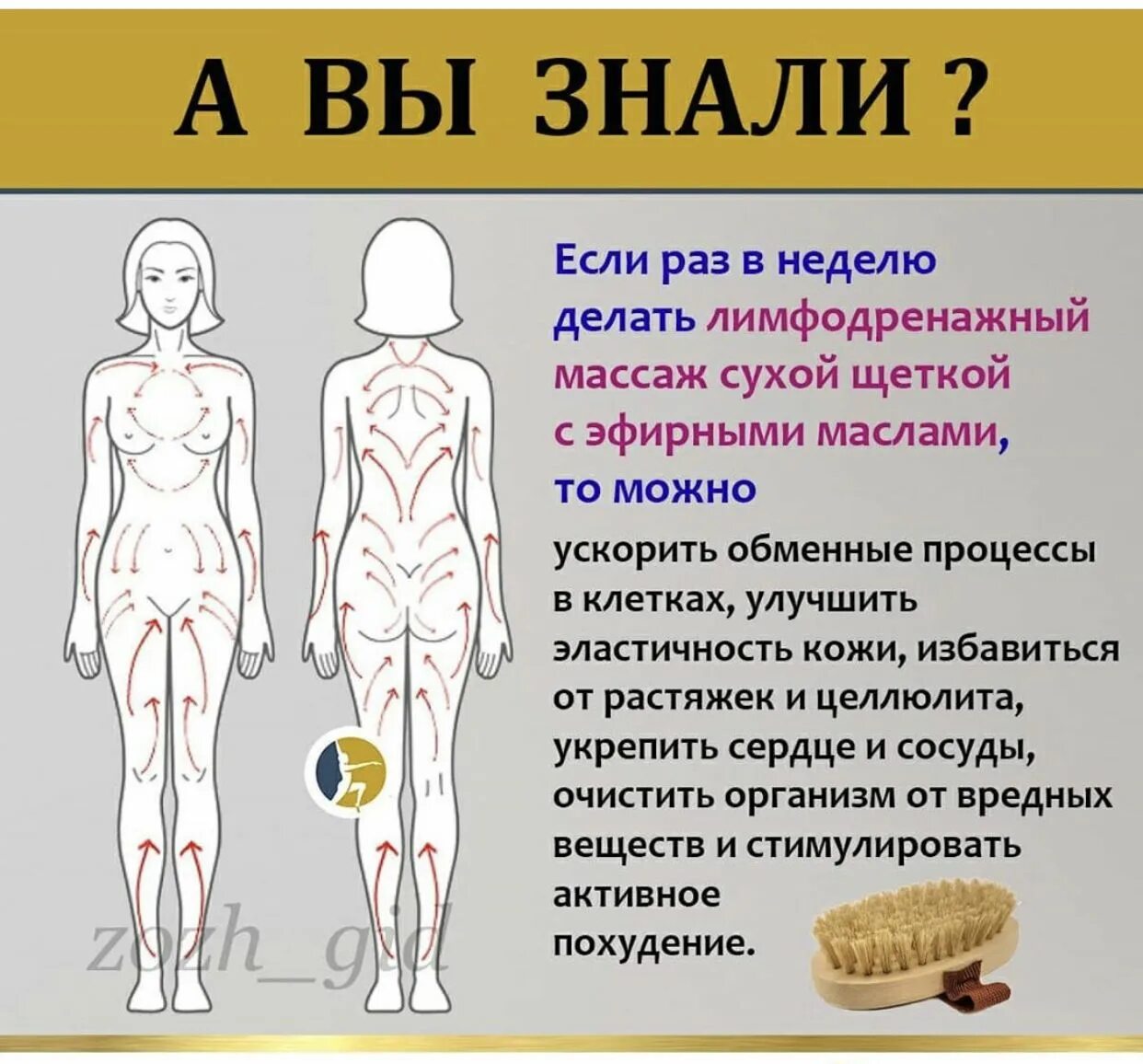 Лимфодренажный массаж для похудения в домашних условиях. Лимфодренажный массаж щеткой. Лимфодренажный массаж сухой щеткой. Лимфодренажный массаж сухой щеткой схема. Схема антицеллюлитного массажа сухой щеткой.