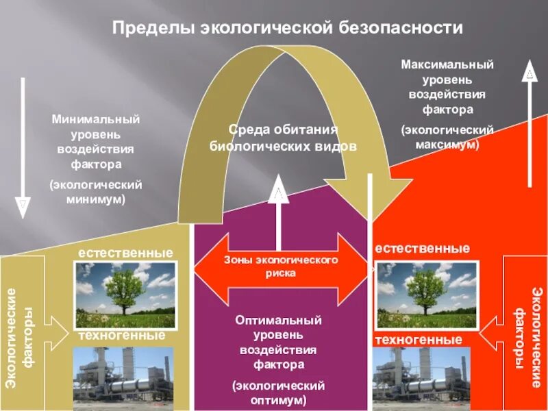 Экологическая безопасность факторы экологической безопасности. Экологические факторы. Концепция экологической безопасности. Экологические факторы окружающей среды.