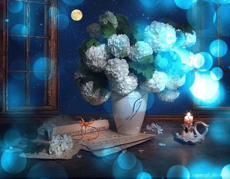 фотонатюрморты зима. вечернее чаепитие. вечер зима добрый картинки красивые необычные нежные. доброго зимнего вечера. новогодний натюрморт.