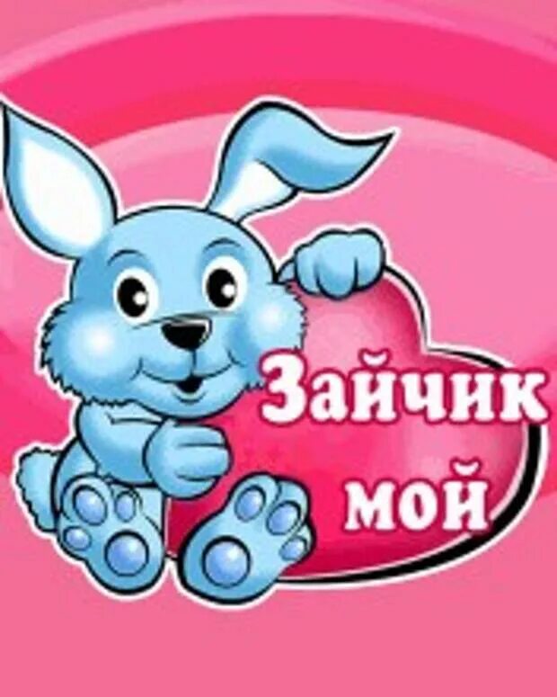 Самбука зая люблю тебя. Мой зайчик. любимый зайчик. люблю тебя мой зайчик. любимому зайке.