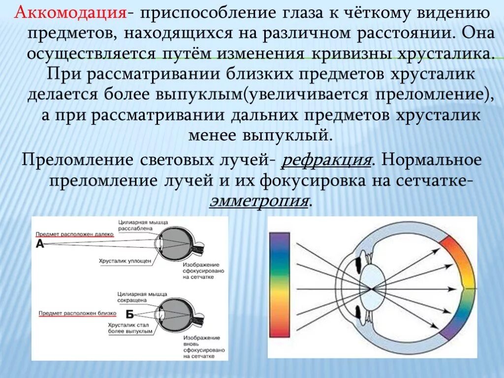 На дальние и близкие расстояния. Механизмы аккомодации и рефракции. Понятие об аккомодации глаза.. Аккомодация приспособление глаза. Хрусталик глаза при аккомодации.