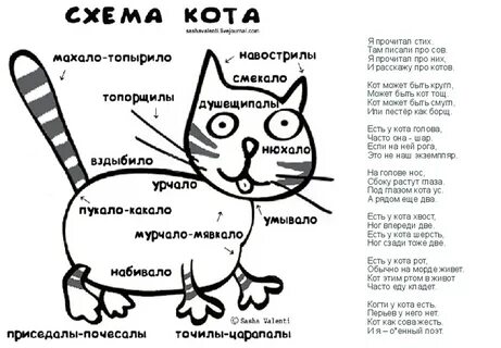 Не будь как котик