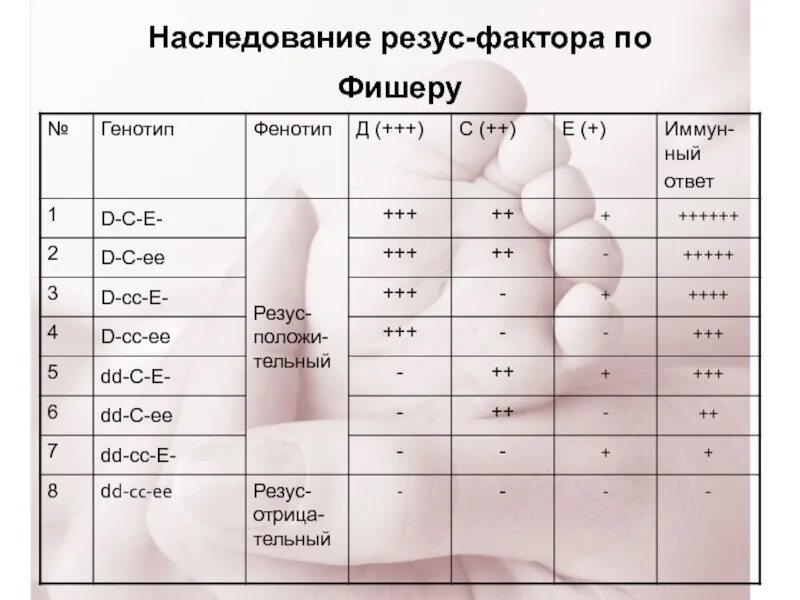 Наследование системы резус фактор. Резус-фактор таблица наследования. Наследование групп крови и резус фактора. Наследование Резуса крови. Резус положительный наследуется