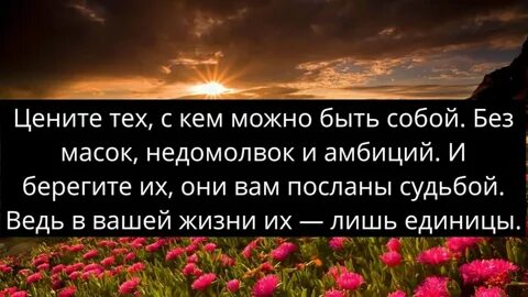 И снова привожу строки неизвестного автора: "Цените тех, с кем можно б...