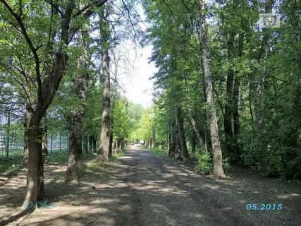 Тополевая аллея 6 стр 1