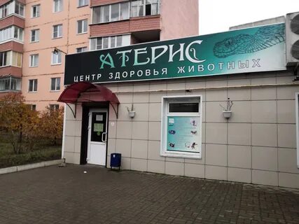 Ветклиника тамбов