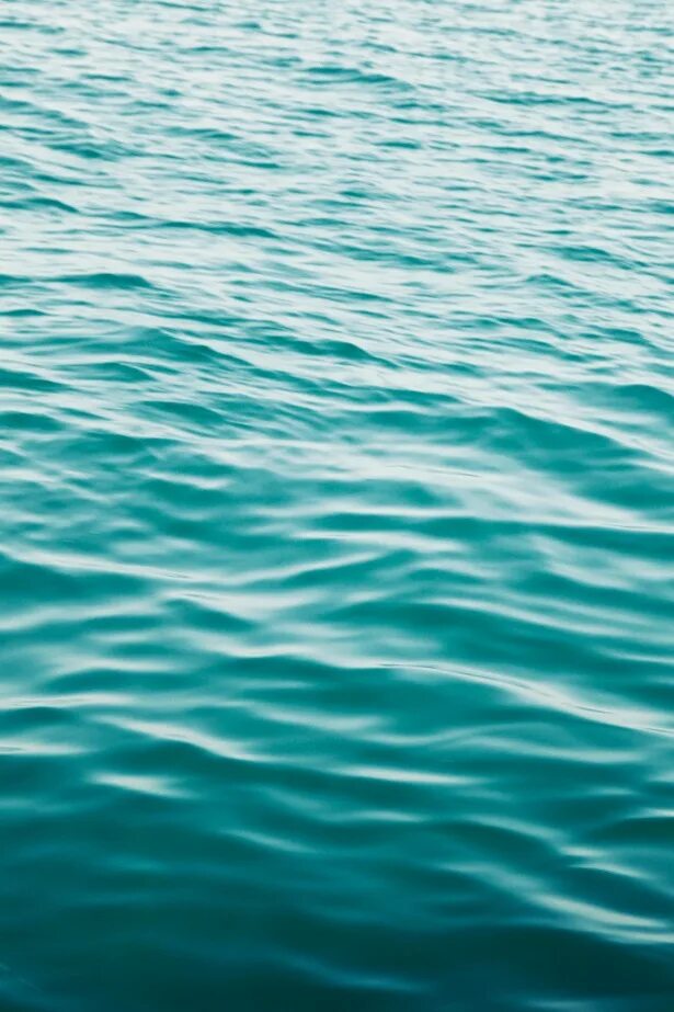 Sea note
