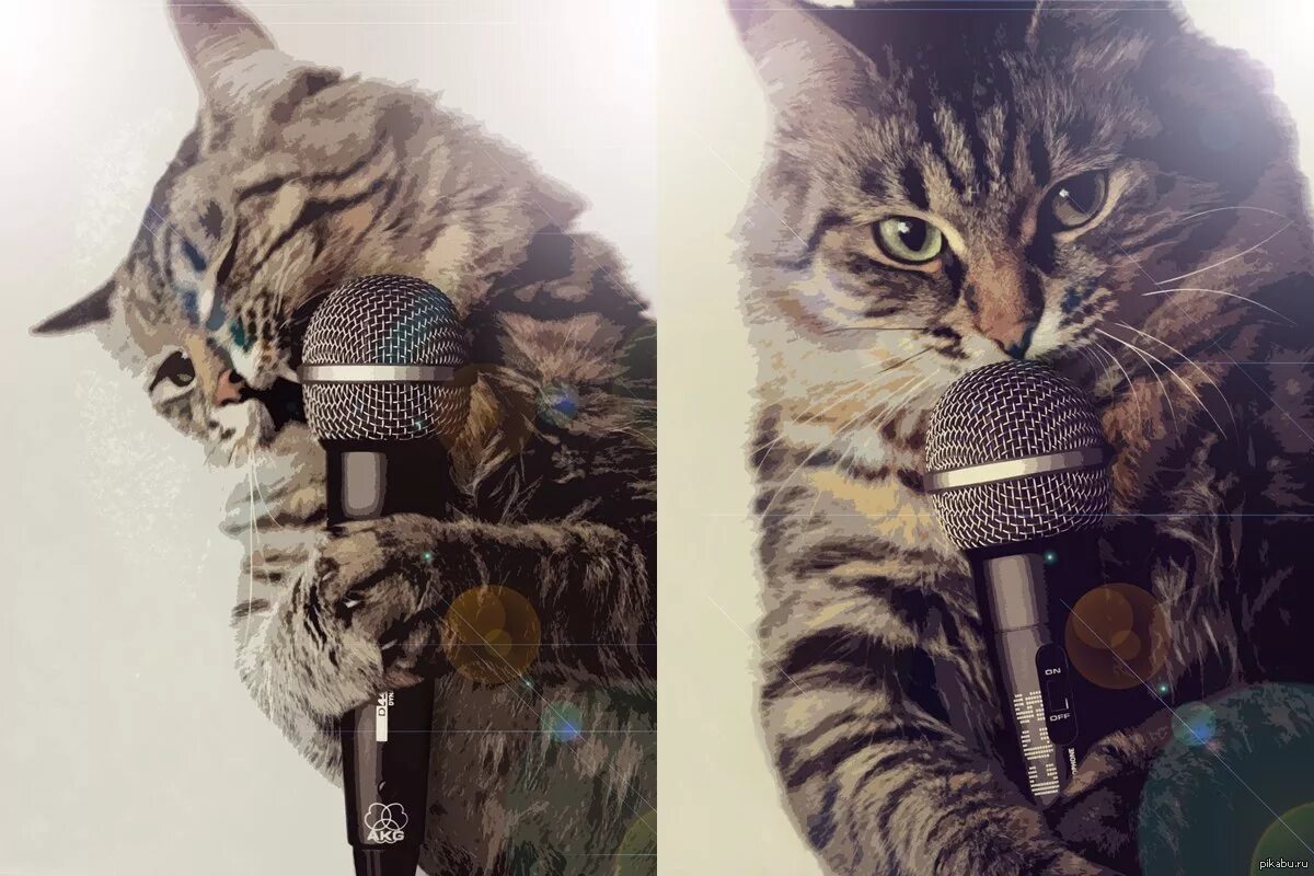Кот поет в микрофон. Кот с микрофоном. Кошка с микрофоном. Котик поет.