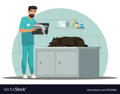 Ветеринар экзамены