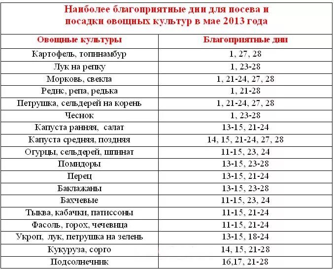 В какие дни апреля можно. Благоприятные дни для посадки в мае моркови. Благоприятные дни для посадки моркови. Благоприятные дни для посадки морковки. Благоприятные дни для посева моркови.